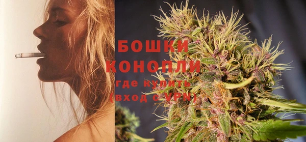 PSILOCYBIN Киреевск