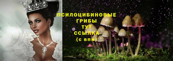 индика Карталы