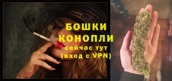 PSILOCYBIN Киреевск